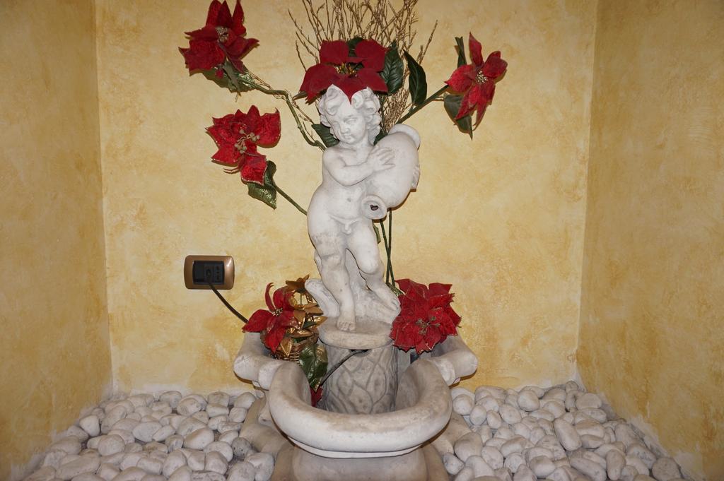 Affittacamere City's House Roma
